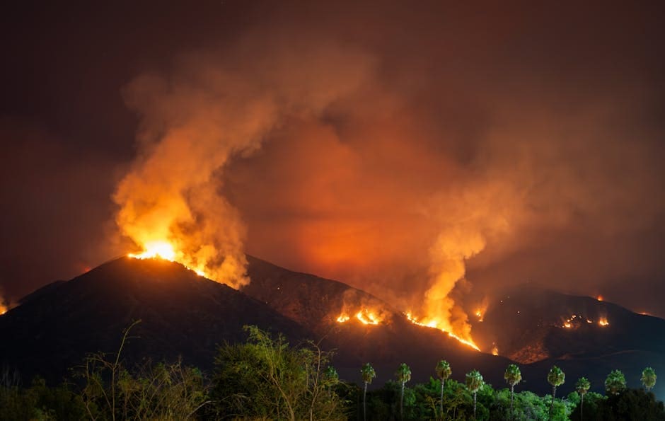 California wildfire wrongful death